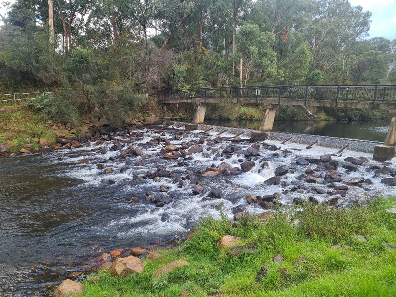 The Bright Weir with boards in place to create the upstream swimming hole.